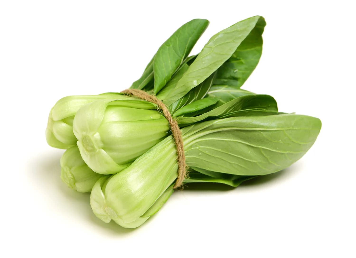 Shanghai Bok Choy (1 lb)