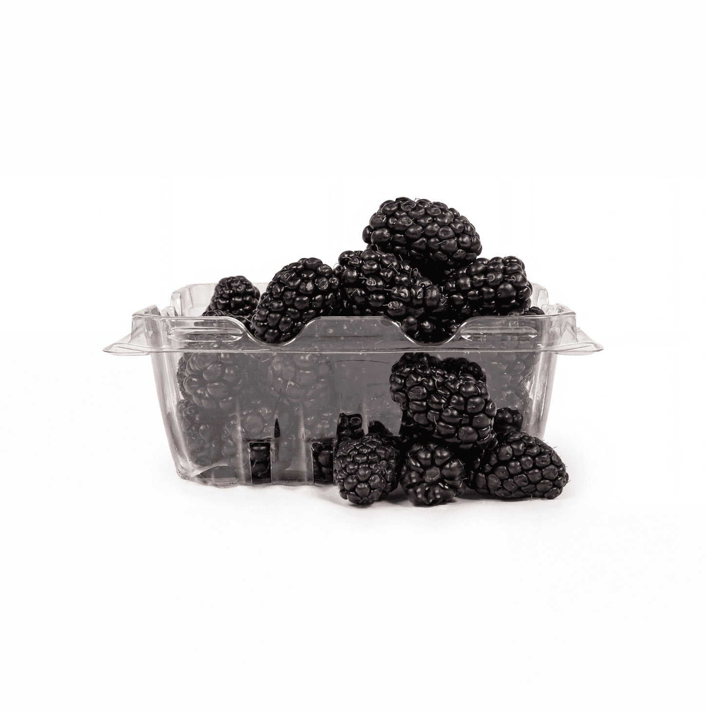 Blackberry (2 x 6 oz)