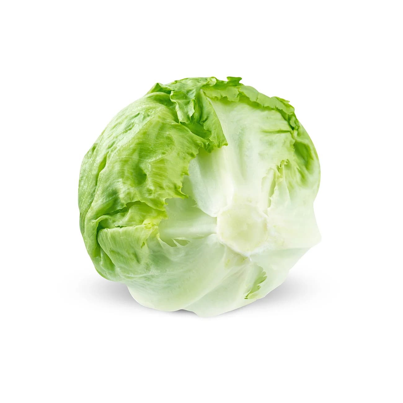 Lettuce Iceberg (2 units)