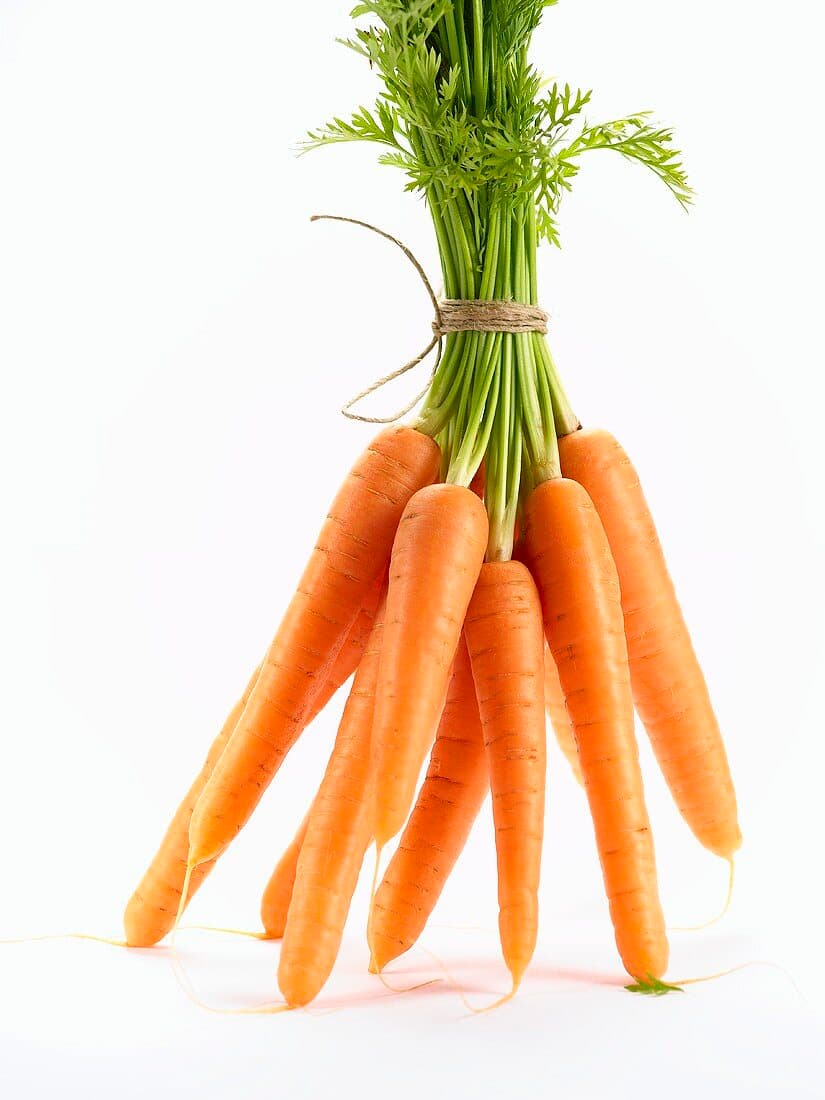 Carrot (2 bunches)