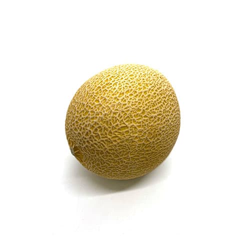Cantaloupe (1 unit)