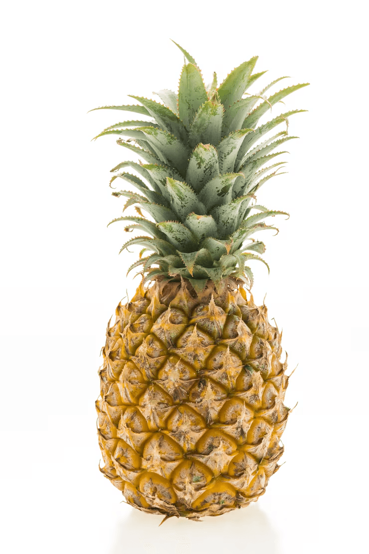 Pineapple (1 unit)