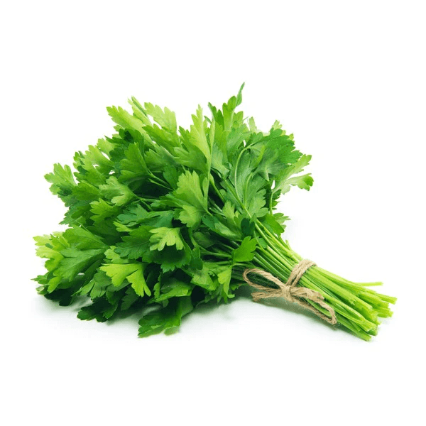 Cilantro (2 counts)