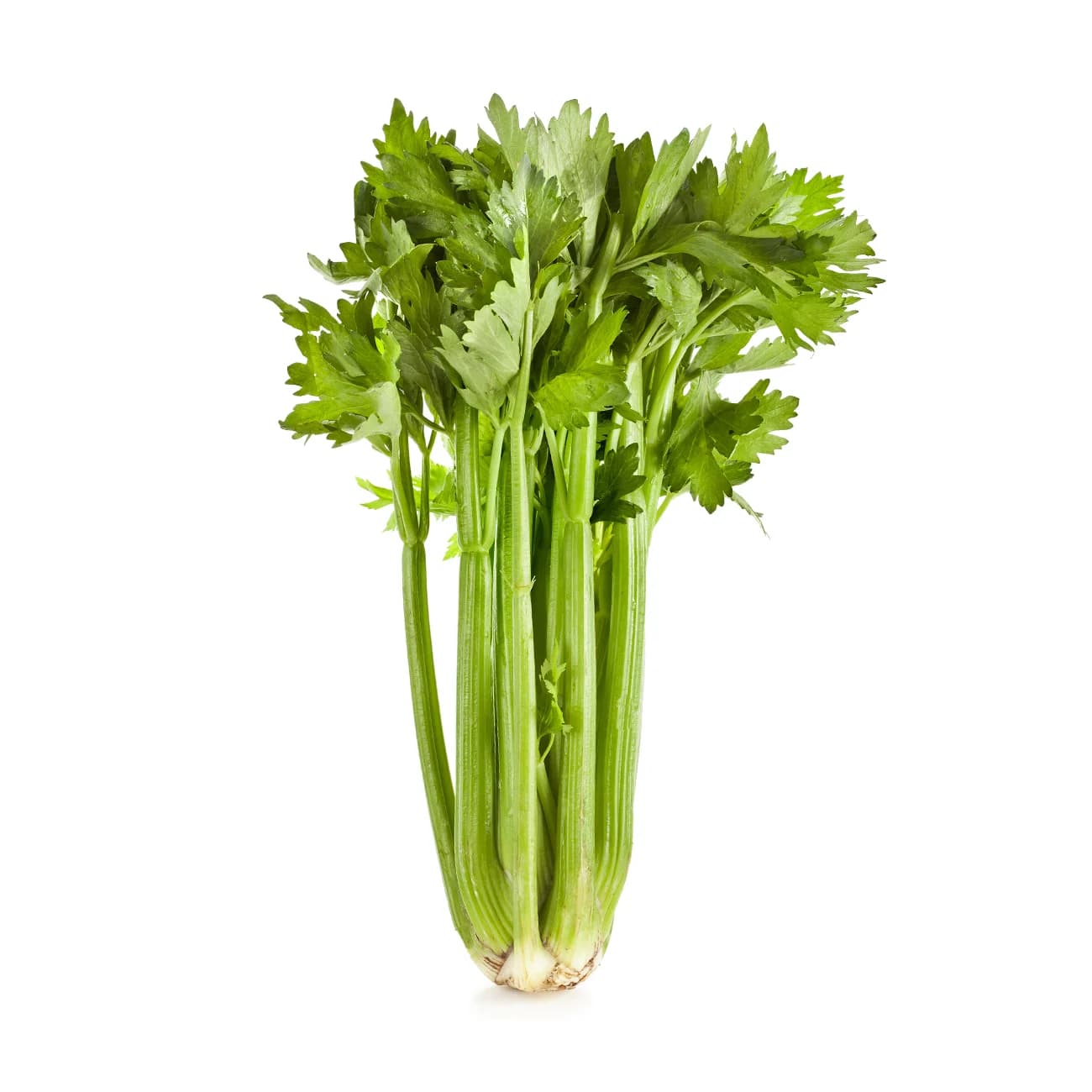 Celery (2 stalks)